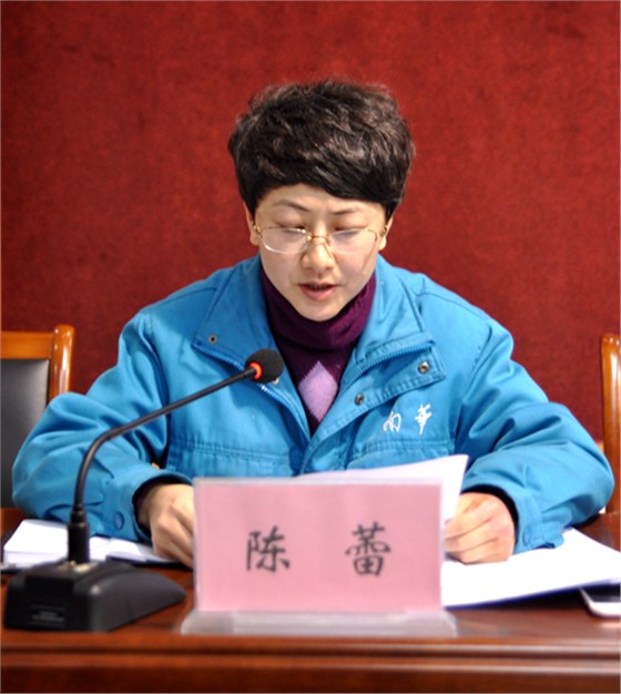 陳蕾作《關(guān)于轉(zhuǎn)增股本的議案報告》 陳蕾作《關(guān)于轉(zhuǎn)增股本的議案報告》