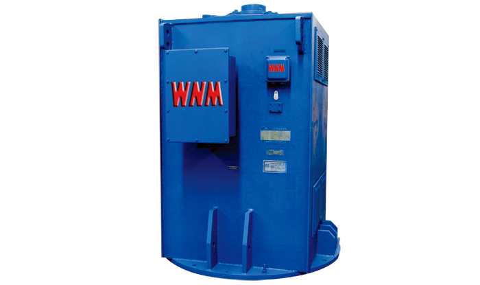 YL系列立式高壓三相交流異步電動機 YL系列立式高壓三相交流異步電動機