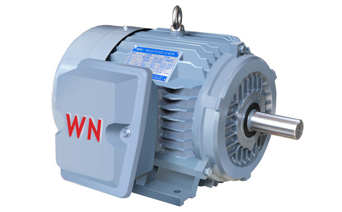 NE系列高效高轉(zhuǎn)矩三相異步電動機(jī) NE系列高效高轉(zhuǎn)矩三相異步電動機(jī)