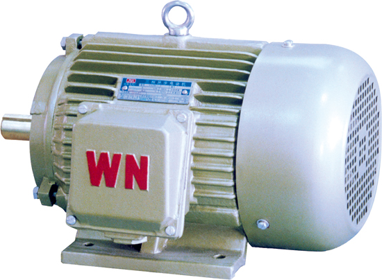 YH2系列高轉(zhuǎn)差率三相異步電動機(jī) YH2系列高轉(zhuǎn)差率三相異步電動機(jī)