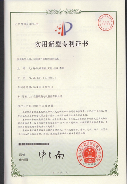 皖南電機(jī)：大軸向力電機(jī)的軸承結(jié)構(gòu)|電機(jī)專利|電動機(jī)