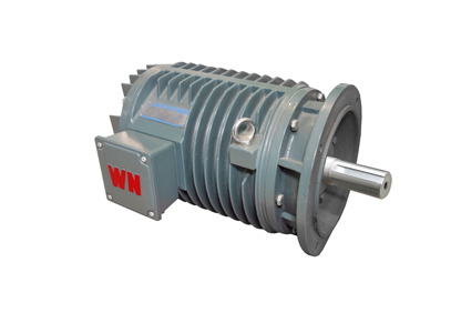 YG系列輥道用調(diào)速三相異步電動機(jī)